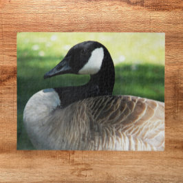 Quebra-cabeça Canadá Foto de Wildlife