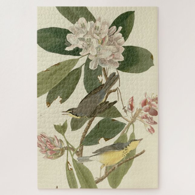 Quebra-cabeça Canada Warbler das Aves da América de Audubon (Vertical)