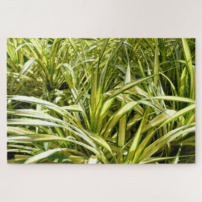 Quebra-cabeça Canção da Índia (Horizontal)