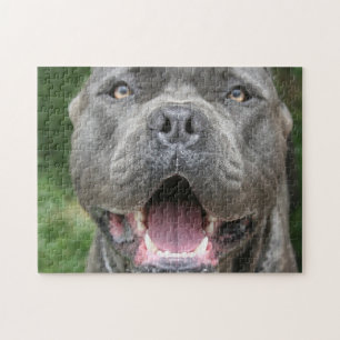 Quebra-cabeça Cane Corso Mastiff