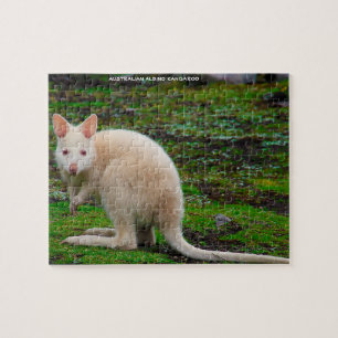 Quebra-cabeça Canguru Albino Australiano