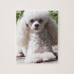 Quebra-cabeça Caniche de brinquedo