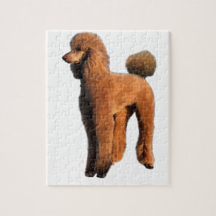 Quebra-cabeça caniche vermelha