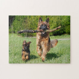 Quebra-cabeça Canino e German shepherd Fluffy
