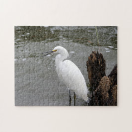 Quebra-cabeça Cantando Snowy Egret