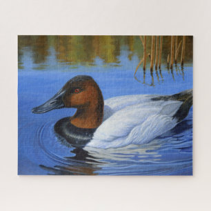 Quebra-cabeça Canvasback Duck Nadando, Leeds, Pintura Acrínica