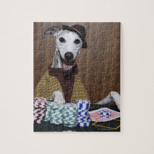 Quebra-cabeça Cão acima vestido de Whippet na mesa de jogo