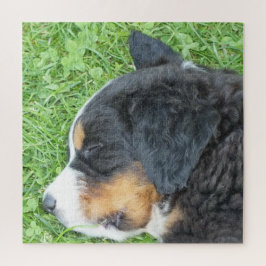 Quebra-cabeça cão, animal, raça, quebra-cabeça, cachorrinho,