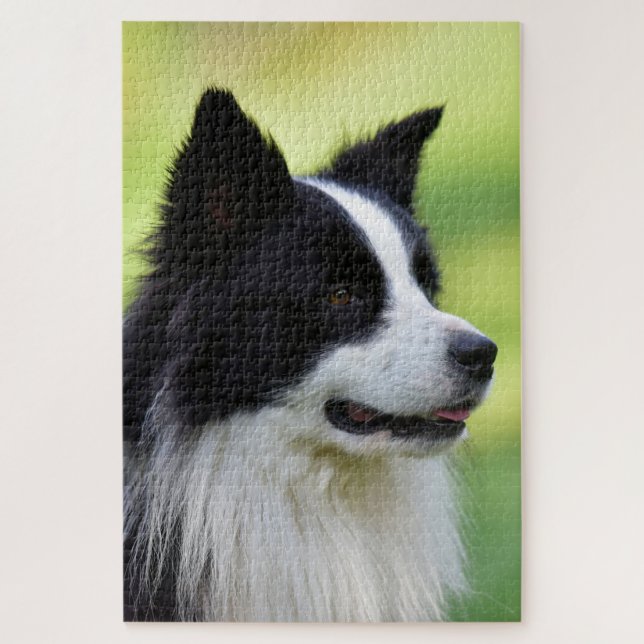 Quebra-cabeça Cão Border Collie Preto e Branco (Vertical)