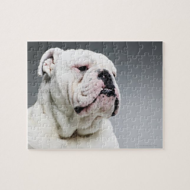 Quebra-cabeça Cão branco de Bull (Horizontal)