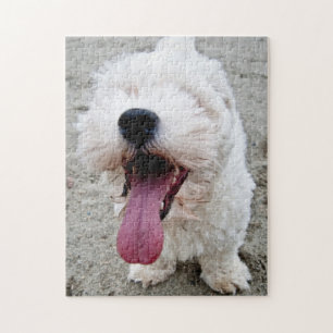 Quebra-cabeça Cão branco do filhote de cachorro feliz, malteese