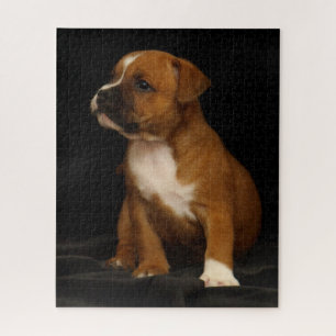 Quebra-cabeça Cão Cachorro Cachorro Inglês Staffordshire Bull Te
