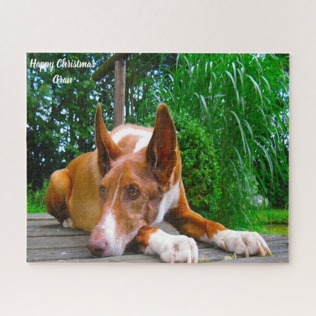 Quebra-cabeça Cão da Raça Pharaoh. (Horizontal)