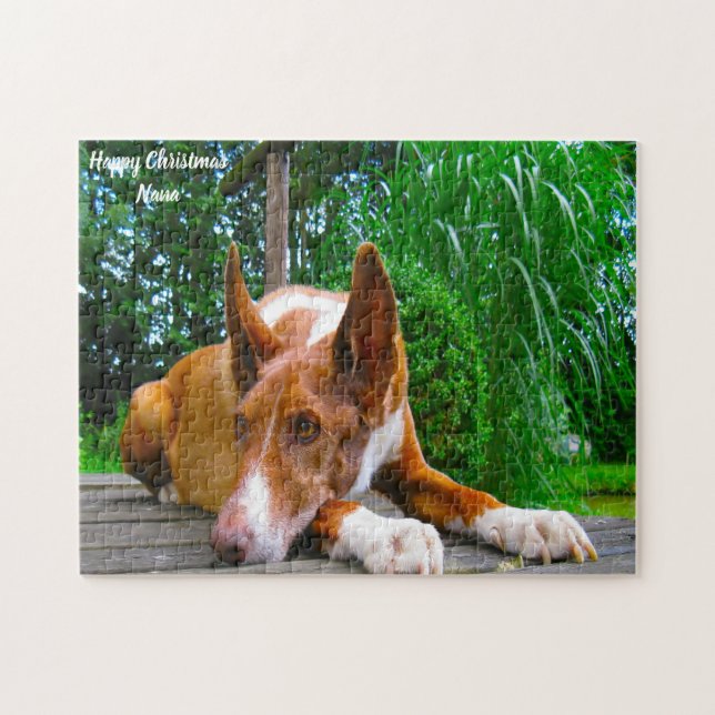 Quebra-cabeça Cão da Raça Pharaoh. (Horizontal)
