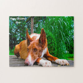 Quebra-cabeça Cão da raça Pharaoh Hound.