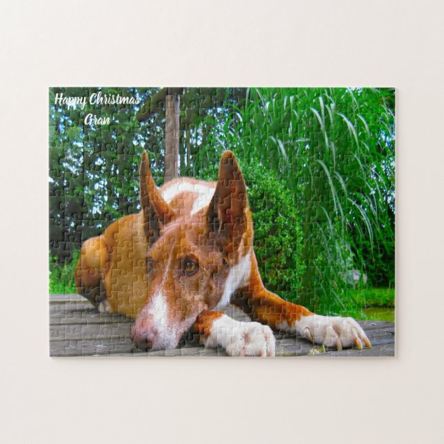 Quebra-cabeça Cão da raça Pharaoh Hound. (Horizontal)
