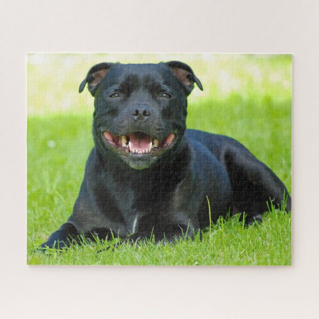Quebra-cabeça Cão da raça Staffordshire Bull Terrier. (Horizontal)