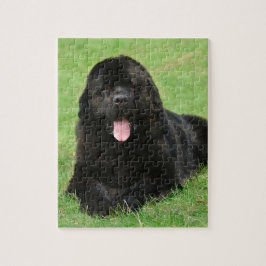 Quebra-cabeça Cão da Terra Nova