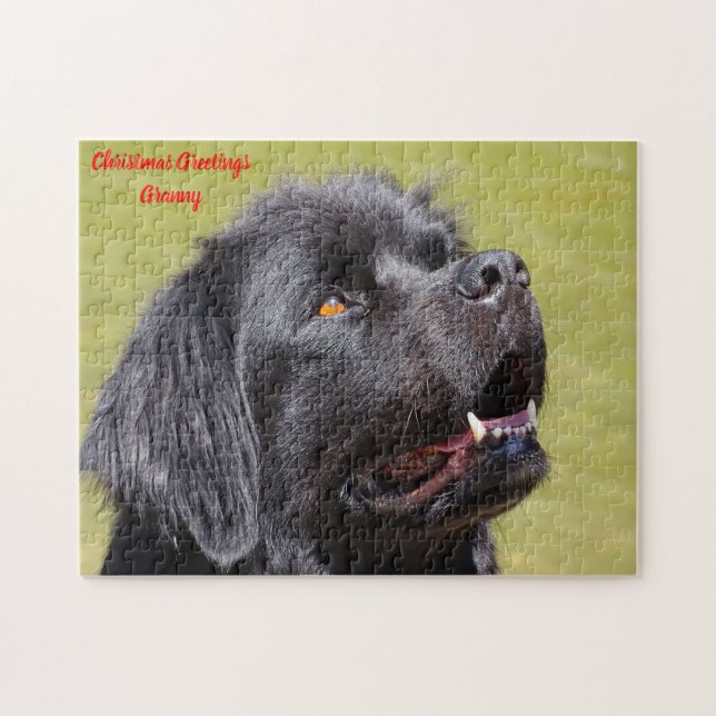 Quebra-cabeça Cão da Terra Nova. (Horizontal)