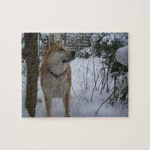 Quebra-cabeça cão de akita na foto coberto de neve dos arbustos