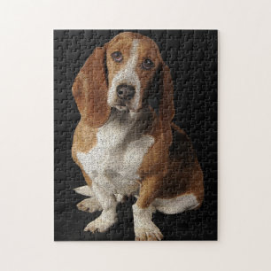 Quebra-cabeça Cão de Basset