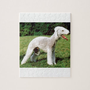 Quebra-cabeça Cão de Bedlington Terrier