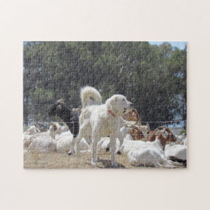 Quebra-cabeça - Cão de Guarda e Cabras
