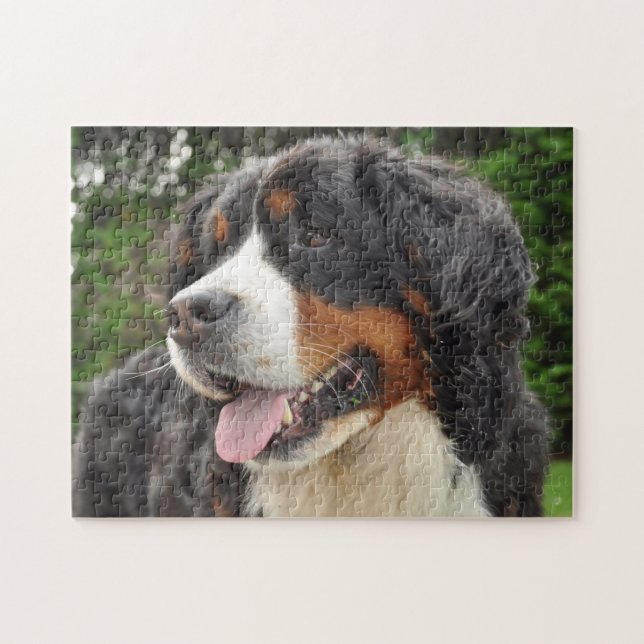 Quebra-cabeça Cão de Montanha Bernês. (Horizontal)