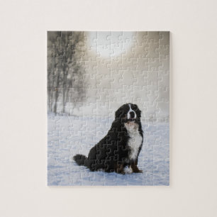 Quebra-cabeça cão de montanha bernês na neve