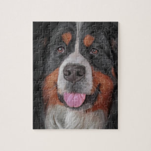 Quebra-cabeça Cão de montanha de Bernese