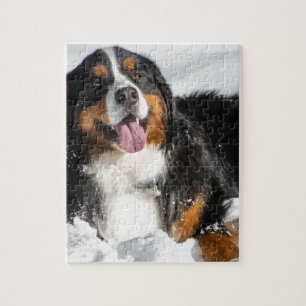 Quebra-cabeça Cão de montanha de Bernese feliz na neve do