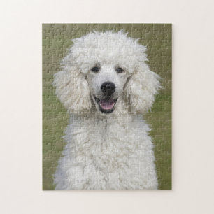 Quebra-cabeça Cão-de-Papoila Branco Fluffy