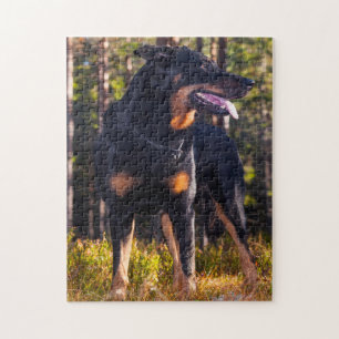 Quebra-cabeça Cão de pastor de Beauceron