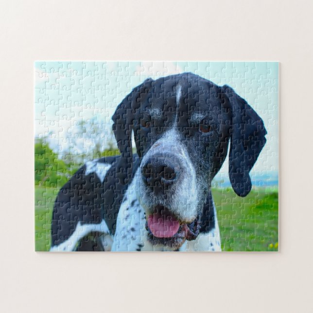 Quebra-cabeça Cão de Ponteiro Inglês. (Horizontal)