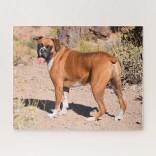 Quebra-cabeça Cão-de-porco