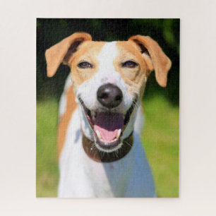 Quebra-cabeça Cão de riso das imagens   de Getty