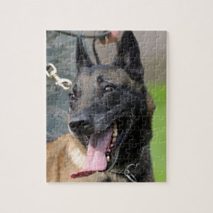 Quebra-cabeça Cão de sorriso de Malinois do belga
