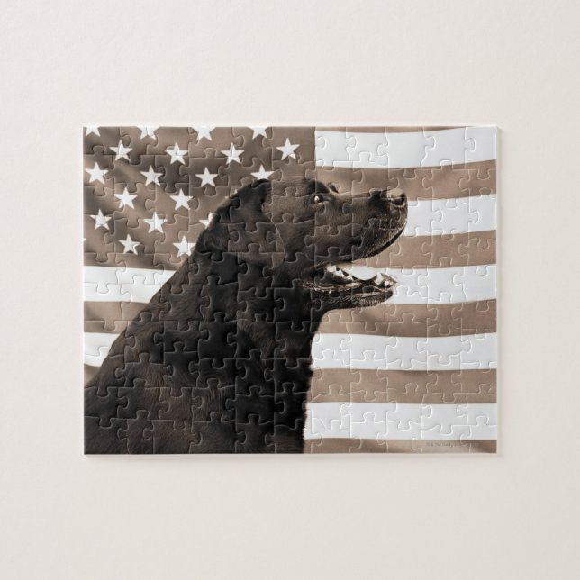 Quebra-cabeça Cão e bandeira americana (Horizontal)