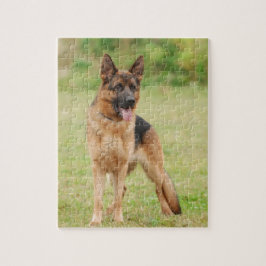 Quebra-cabeça cão german shepherd