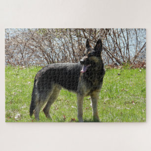 Quebra-cabeça Cão german shepherd
