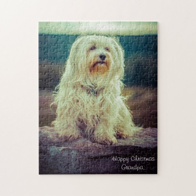 Quebra-cabeça Cão Havanês. (Vertical)