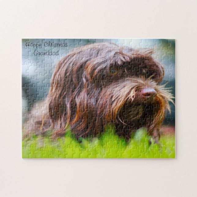 Quebra-cabeça Cão Havanês. (Horizontal)
