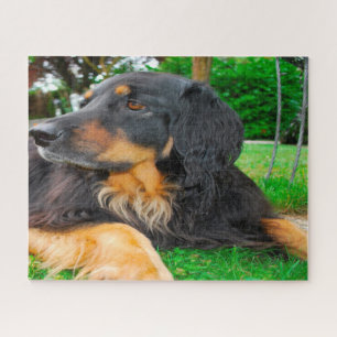 Quebra-cabeça Cão Hovawart Preto.