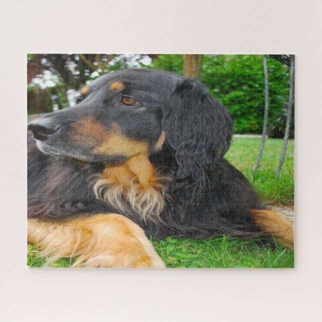 Quebra-cabeça Cão Hovawart Preto. (Horizontal)