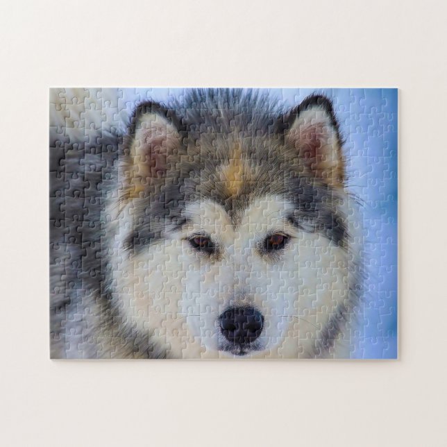 Quebra-cabeça Cão Husky do Alasca. (Horizontal)