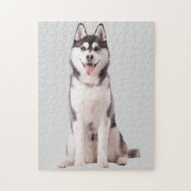 Quebra-cabeça Cão Husky Siberiano (Vertical)
