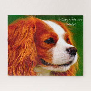 Quebra-cabeça Cão King Charles Spaniel.