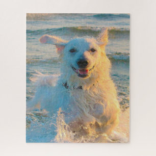 Quebra-cabeça Cão Kuvasz.