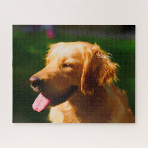 Quebra-cabeça Cão Labrador.