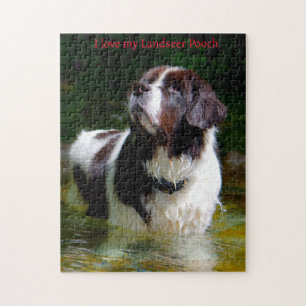 Quebra-cabeça Cão Landseer.